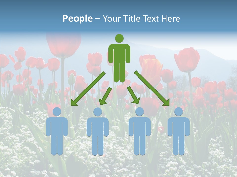 Feeling Garden Tulips PowerPoint Template