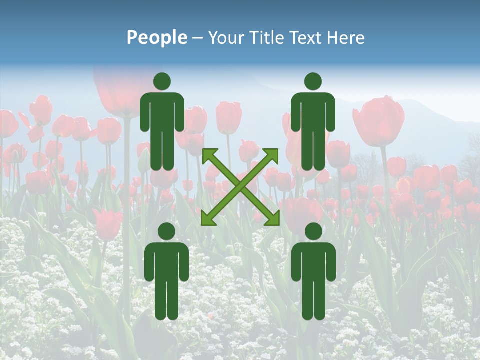 Feeling Garden Tulips PowerPoint Template
