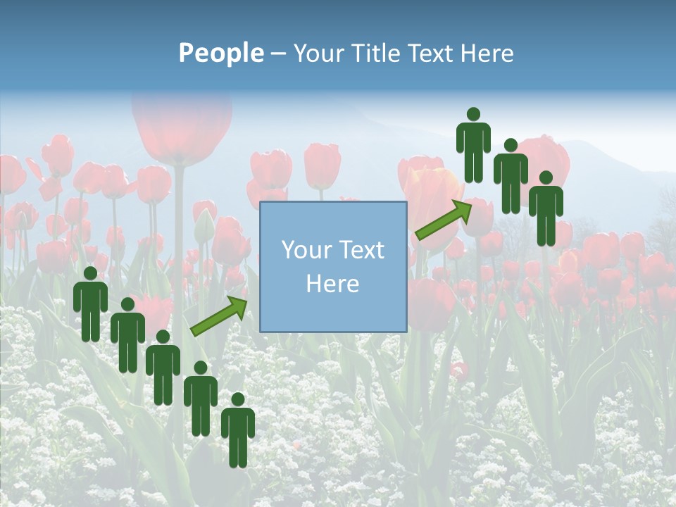 Feeling Garden Tulips PowerPoint Template