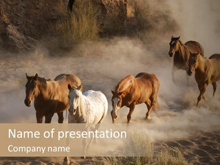 Herd Hillside Desert PowerPoint Template