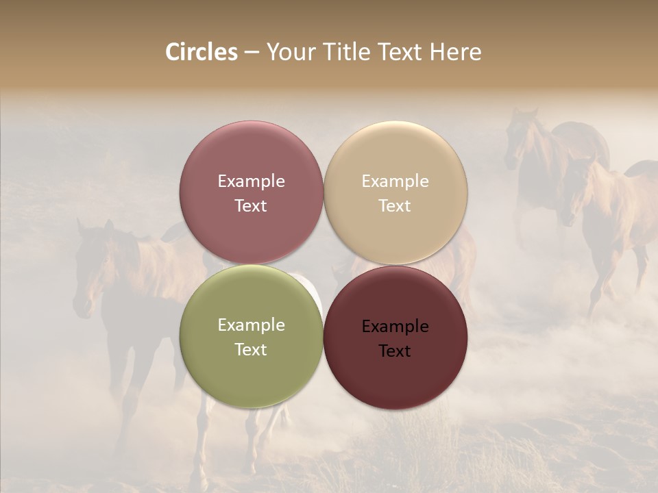 Herd Hillside Desert PowerPoint Template