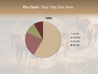 Herd Hillside Desert PowerPoint Template