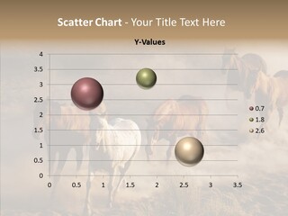 Herd Hillside Desert PowerPoint Template