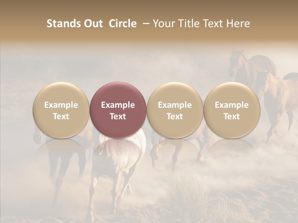 Herd Hillside Desert PowerPoint Template