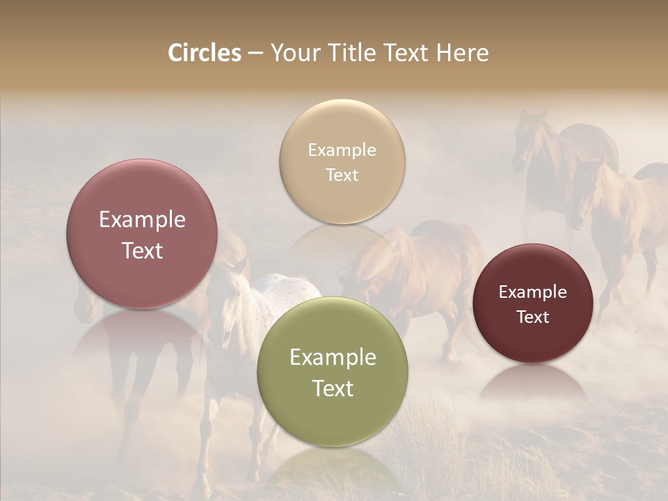Herd Hillside Desert PowerPoint Template