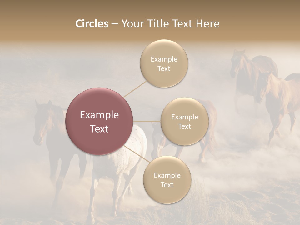 Herd Hillside Desert PowerPoint Template