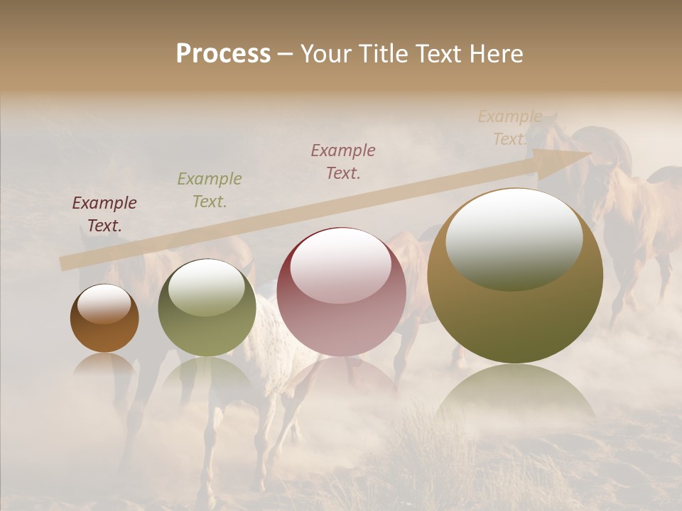 Herd Hillside Desert PowerPoint Template