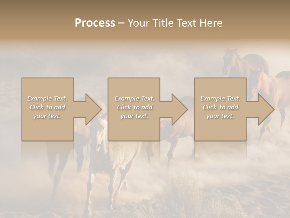 Herd Hillside Desert PowerPoint Template