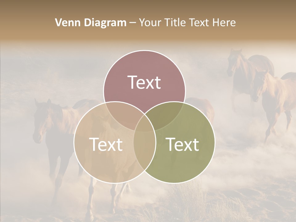 Herd Hillside Desert PowerPoint Template