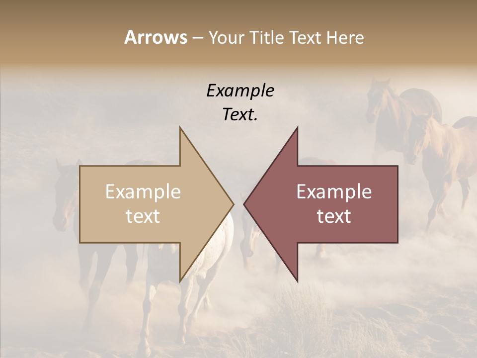 Herd Hillside Desert PowerPoint Template