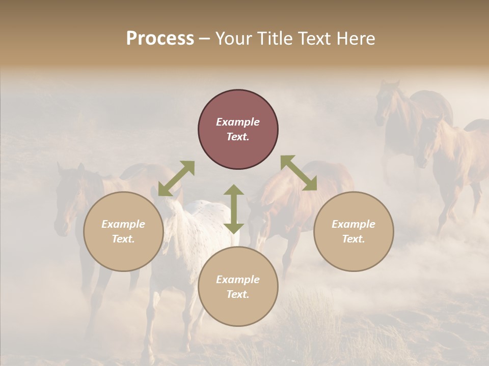 Herd Hillside Desert PowerPoint Template