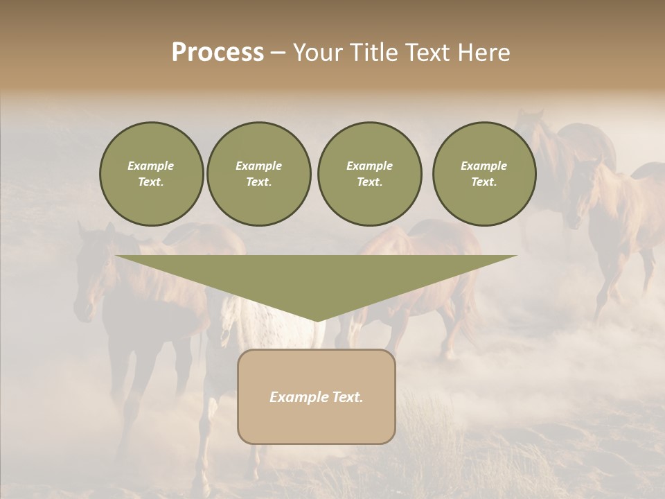 Herd Hillside Desert PowerPoint Template