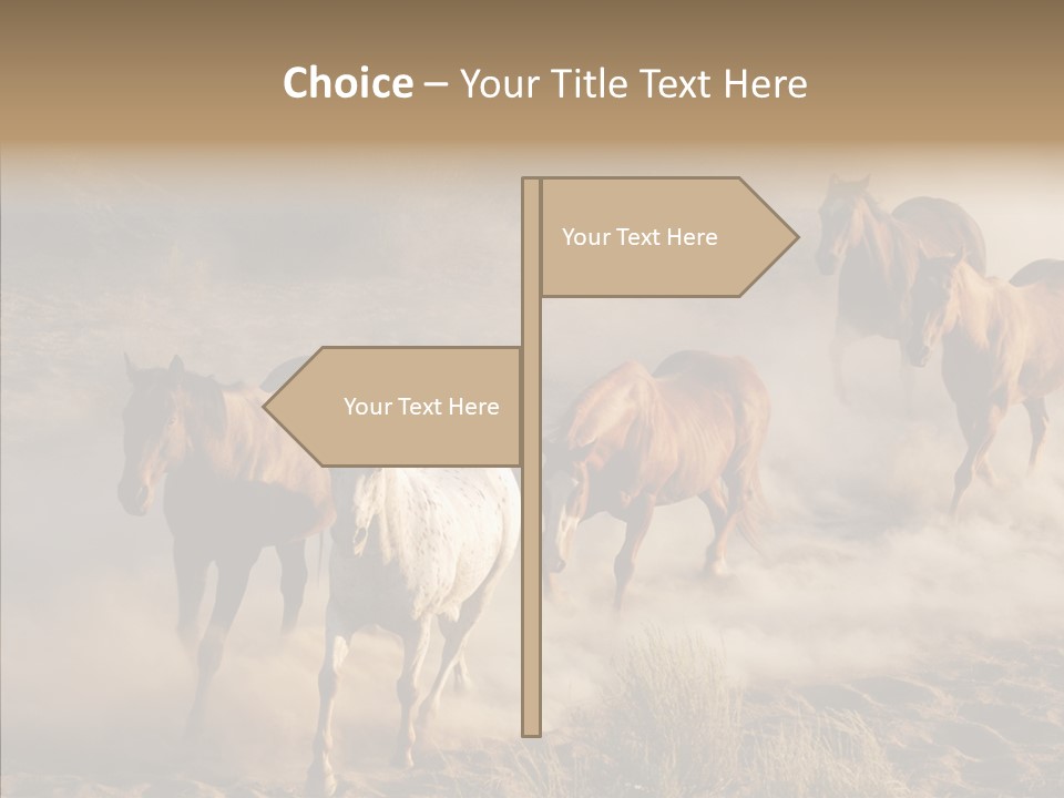 Herd Hillside Desert PowerPoint Template
