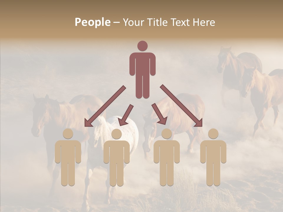 Herd Hillside Desert PowerPoint Template