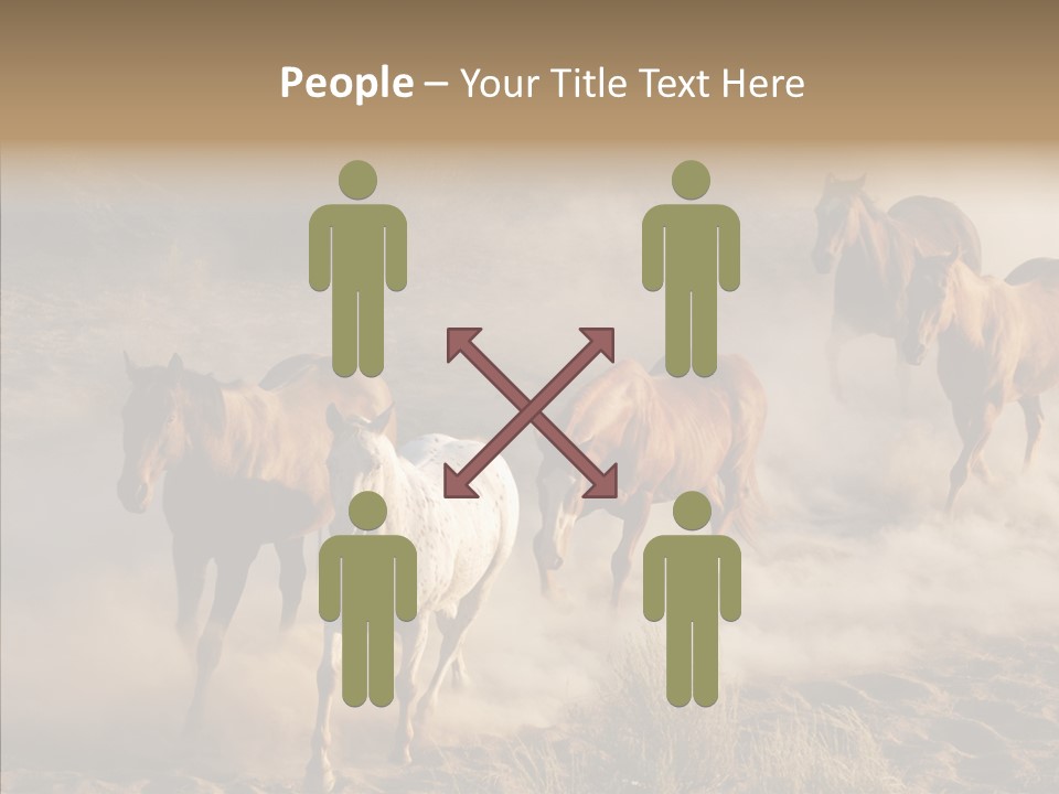 Herd Hillside Desert PowerPoint Template