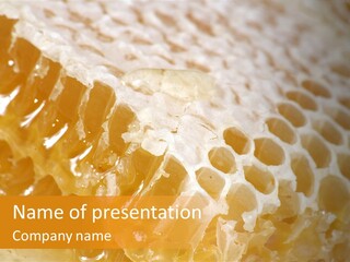 Eating Refreshment Natural PowerPoint Template