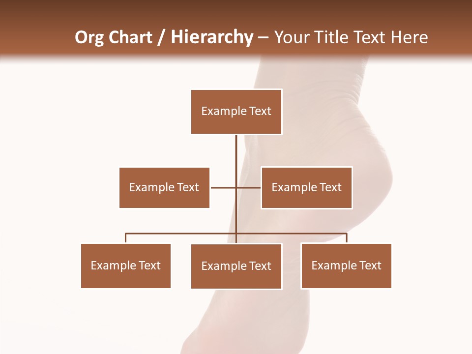 Body Calf Procedure PowerPoint Template