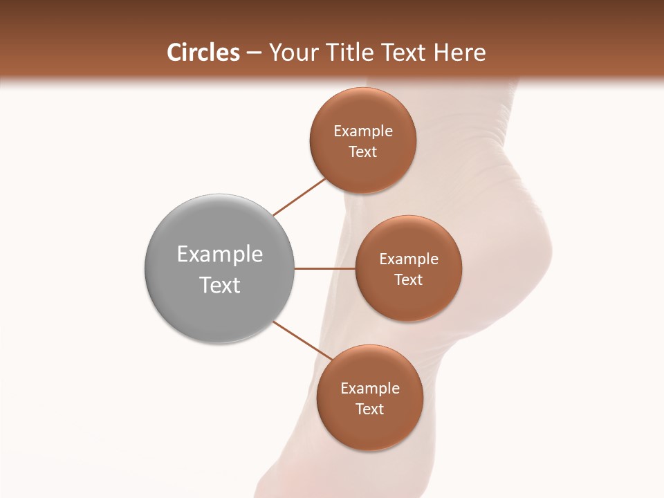 Body Calf Procedure PowerPoint Template