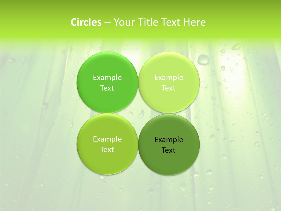 Bright Uncultivated Reflection PowerPoint Template