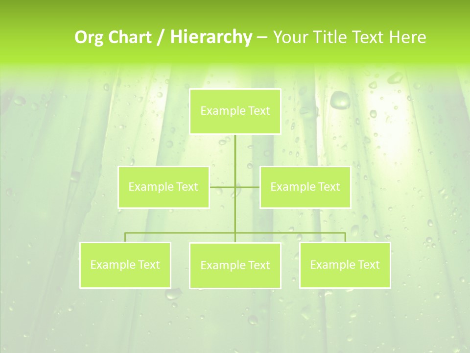 Bright Uncultivated Reflection PowerPoint Template