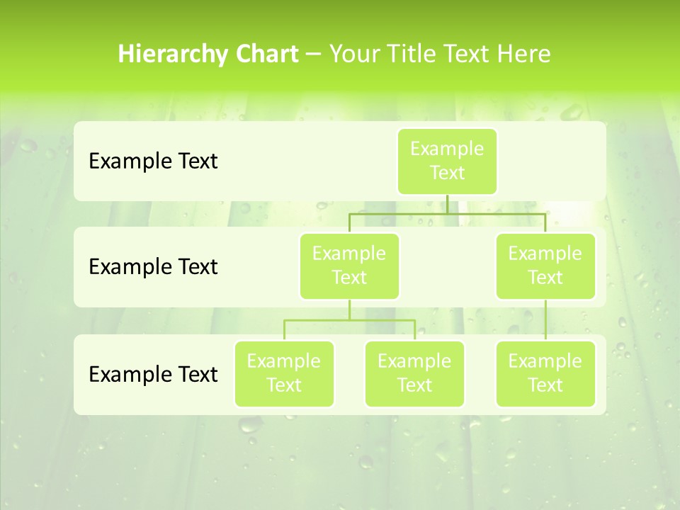 Bright Uncultivated Reflection PowerPoint Template