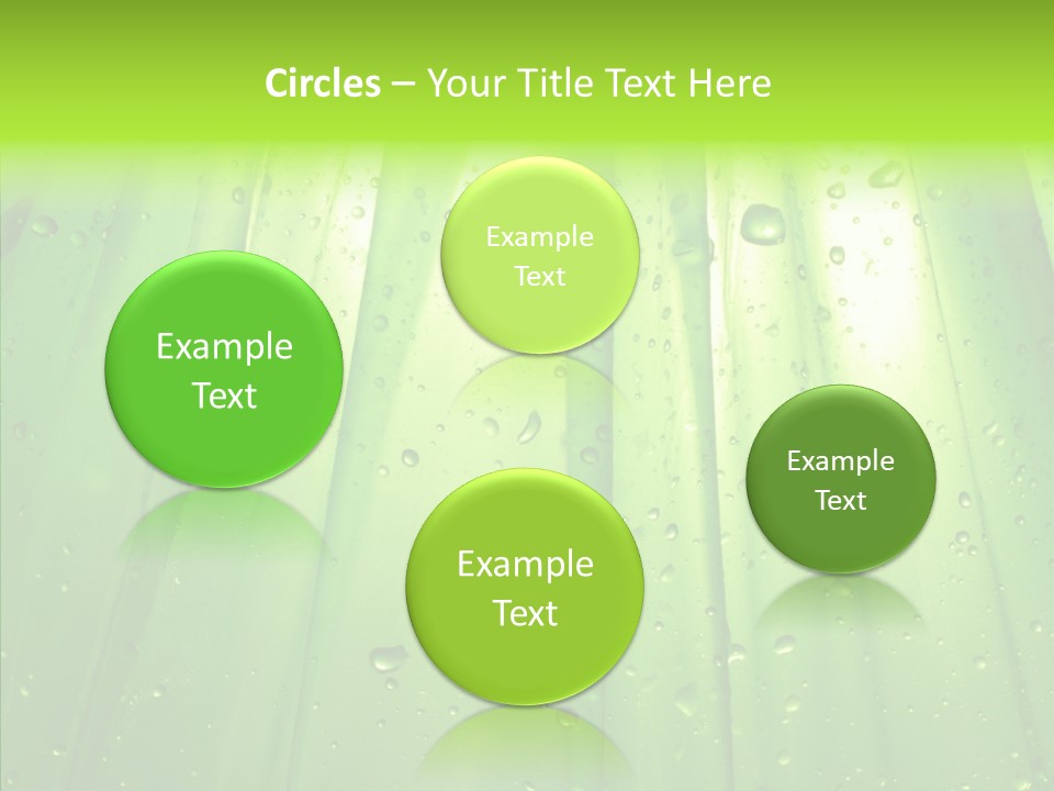 Bright Uncultivated Reflection PowerPoint Template