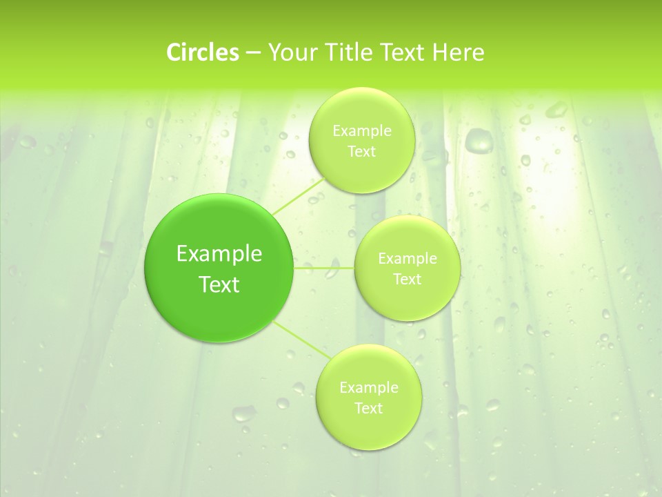 Bright Uncultivated Reflection PowerPoint Template