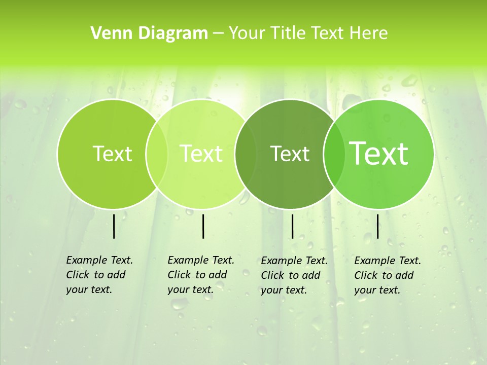Bright Uncultivated Reflection PowerPoint Template