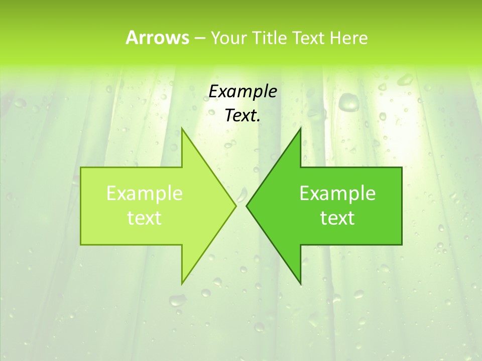 Bright Uncultivated Reflection PowerPoint Template