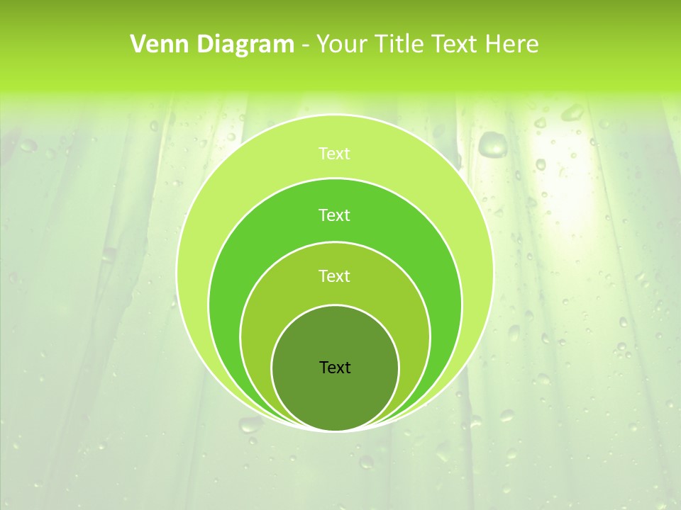 Bright Uncultivated Reflection PowerPoint Template