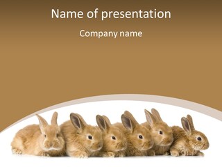 Pet Fur Ear PowerPoint Template