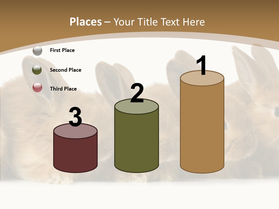 Pet Fur Ear PowerPoint Template