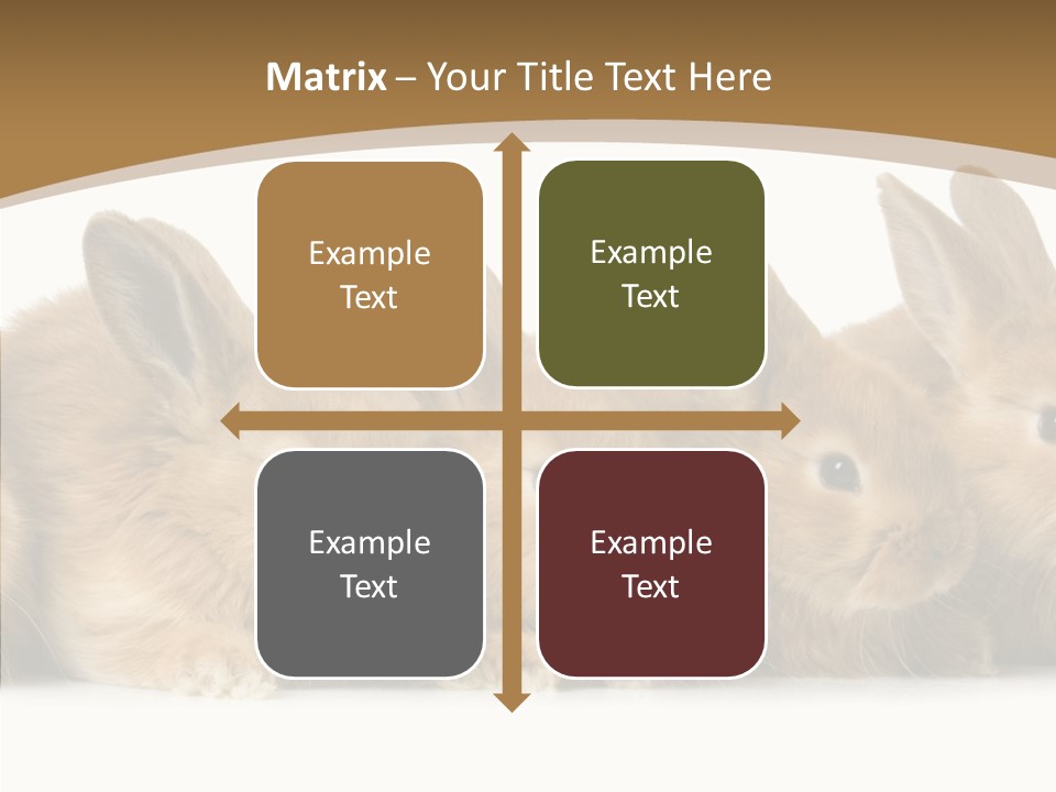 Pet Fur Ear PowerPoint Template