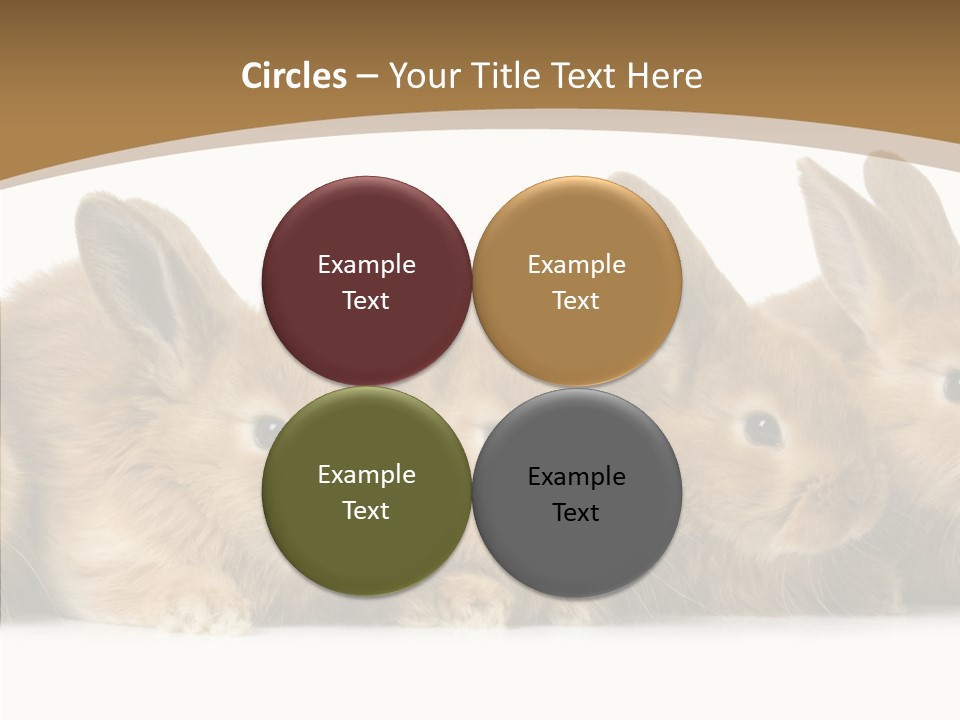 Pet Fur Ear PowerPoint Template