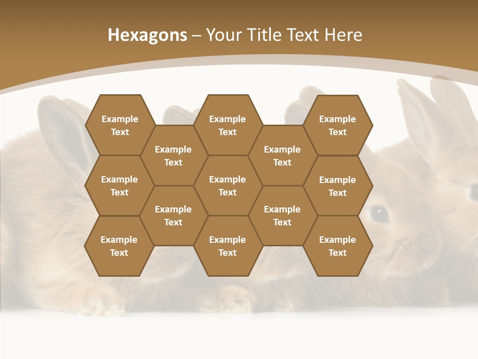 Pet Fur Ear PowerPoint Template