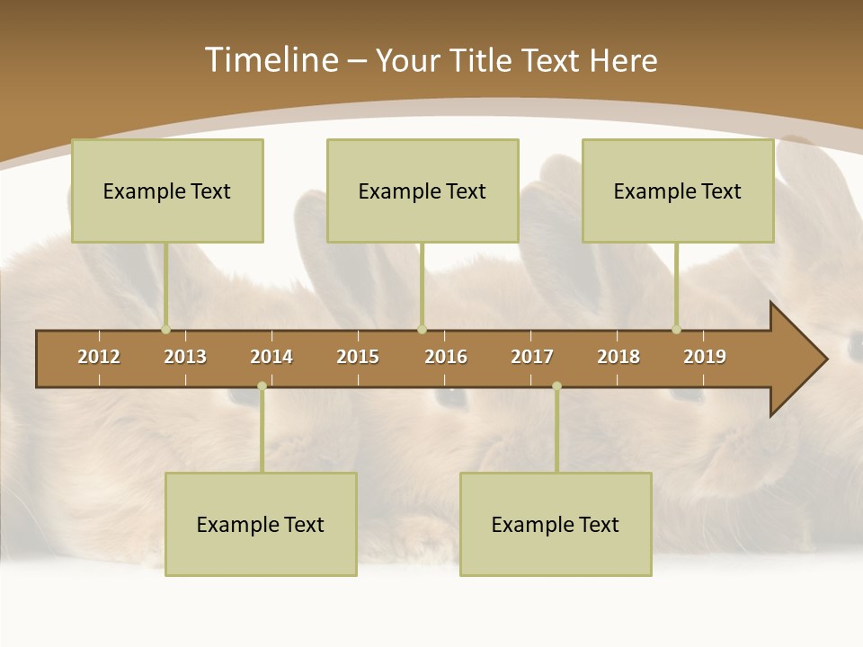 Pet Fur Ear PowerPoint Template