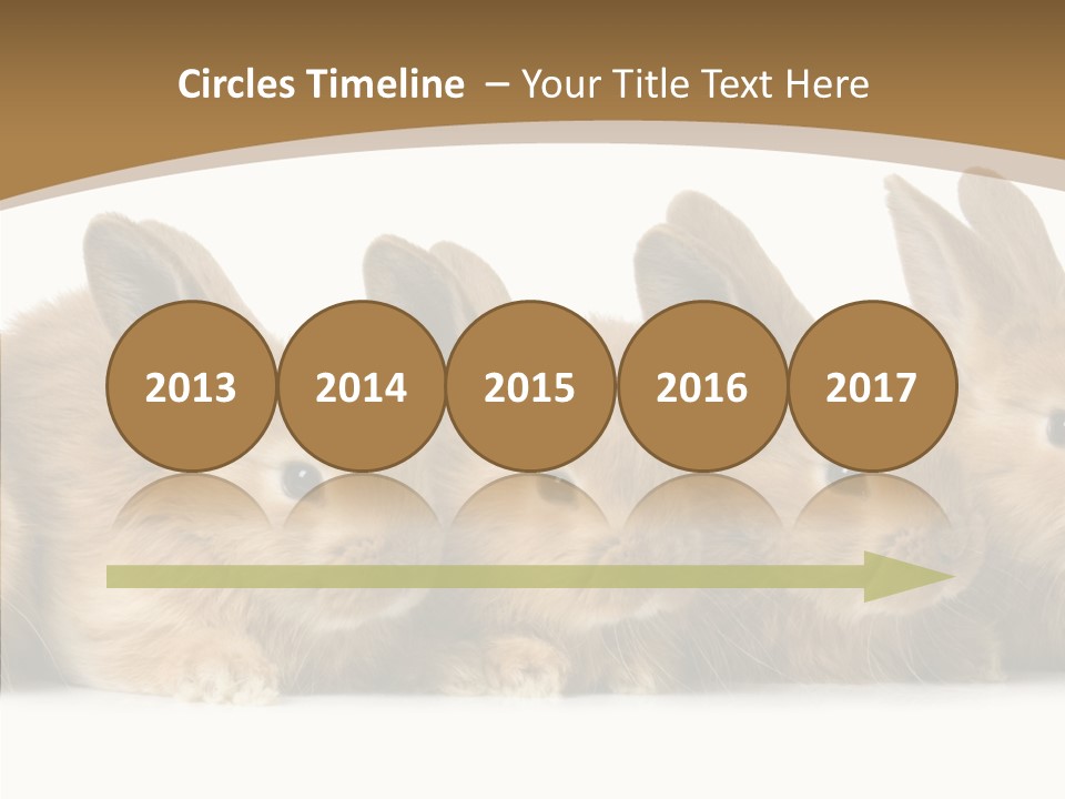 Pet Fur Ear PowerPoint Template