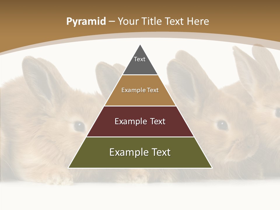 Pet Fur Ear PowerPoint Template