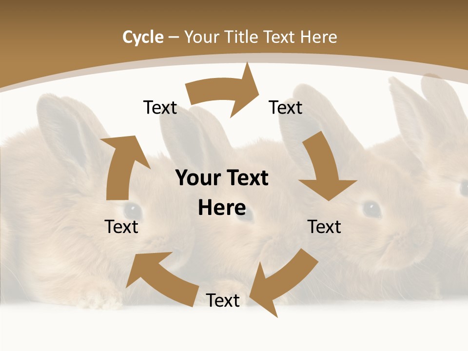 Pet Fur Ear PowerPoint Template