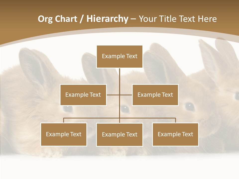 Pet Fur Ear PowerPoint Template