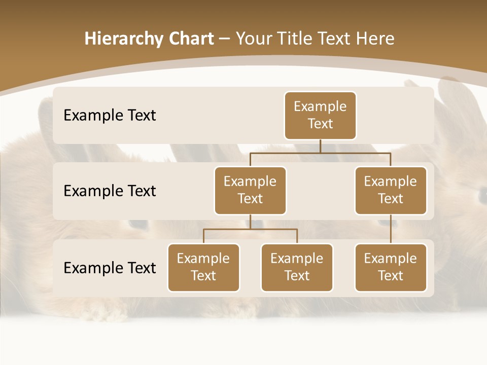 Pet Fur Ear PowerPoint Template