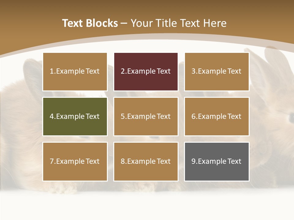 Pet Fur Ear PowerPoint Template