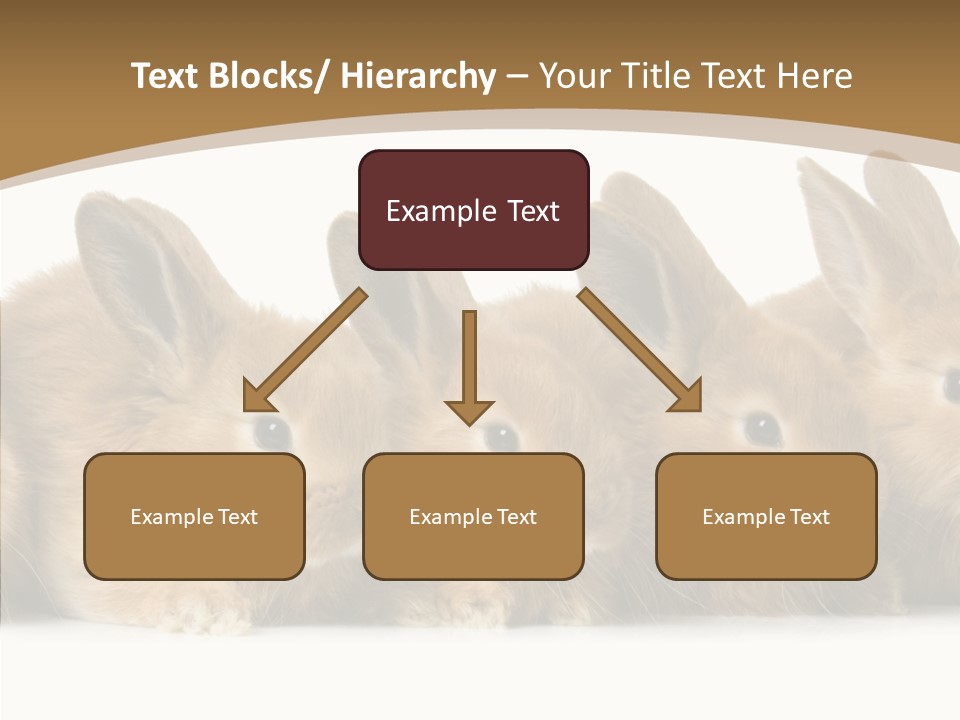 Pet Fur Ear PowerPoint Template