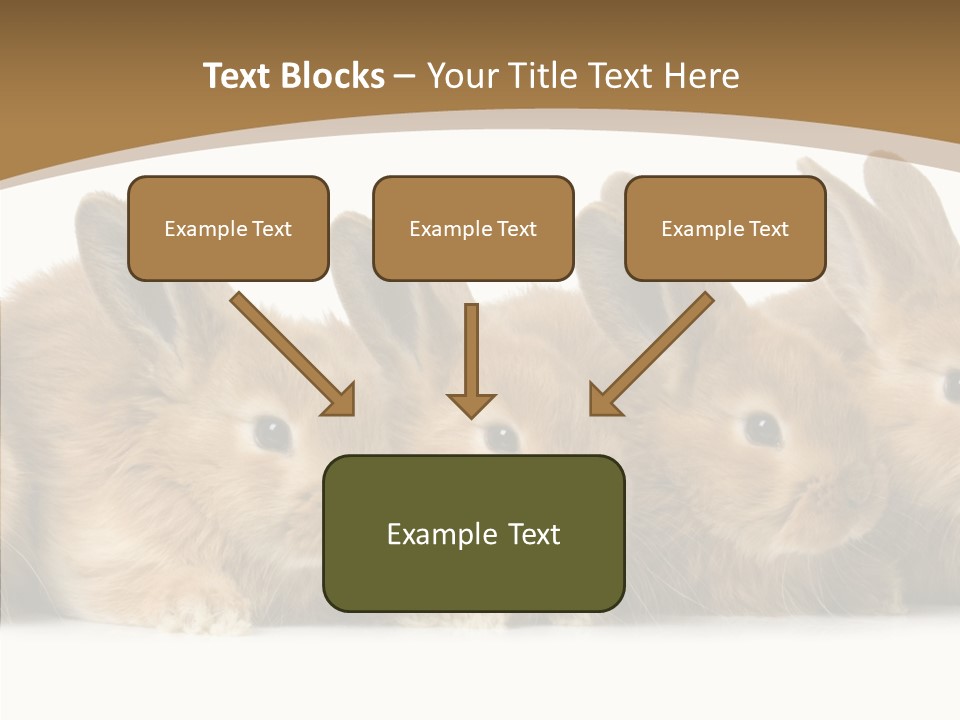 Pet Fur Ear PowerPoint Template