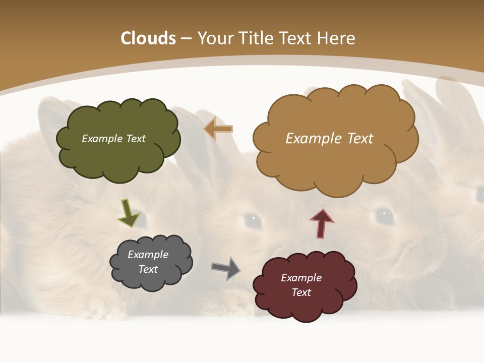 Pet Fur Ear PowerPoint Template