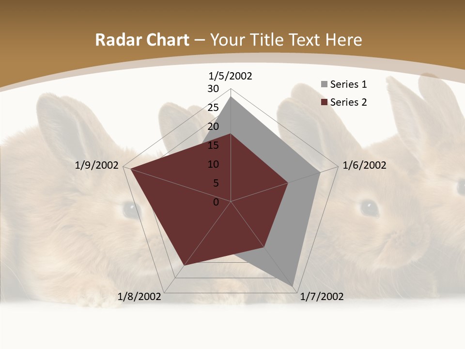 Pet Fur Ear PowerPoint Template