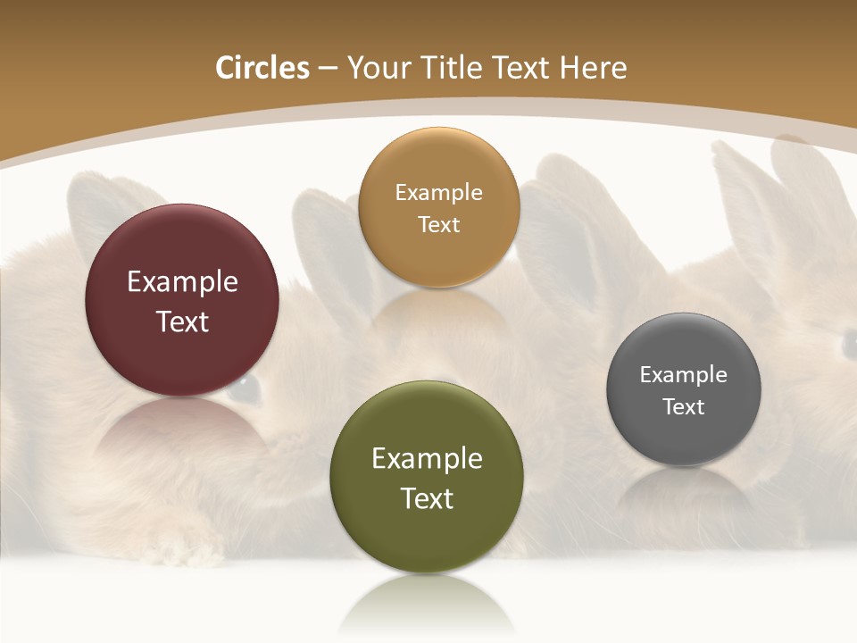 Pet Fur Ear PowerPoint Template