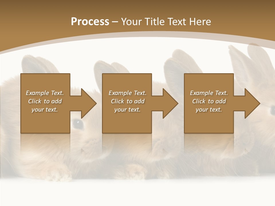 Pet Fur Ear PowerPoint Template