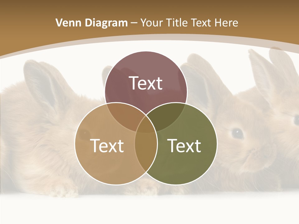 Pet Fur Ear PowerPoint Template