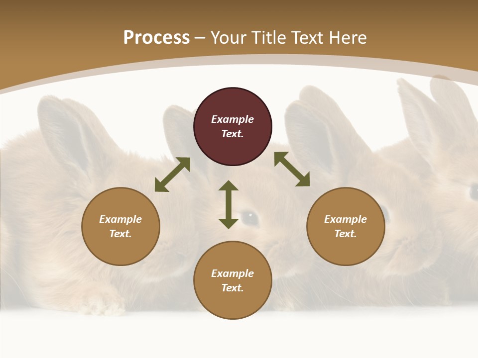 Pet Fur Ear PowerPoint Template